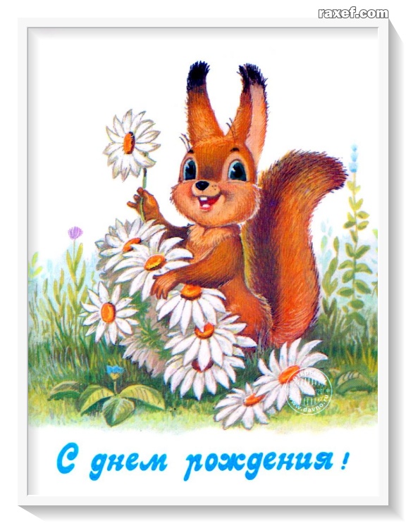 Белка! Белочка с ромашками! Советская открытка! Старинная картинка!